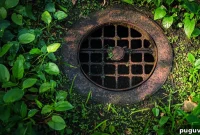 Home Drain Maintenance Guide: Essential Tips for Long-Lasting Pipes