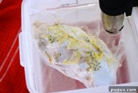 Sous Vide Frozen Turkey Breast: Step-by-Step Cooking Guide