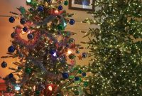 DIY Orange Peel Star Garland: Natural Holiday Decoration Tutorial