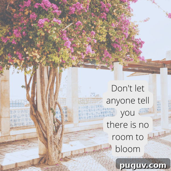 Don't let anyone tell you there is no room to bloom