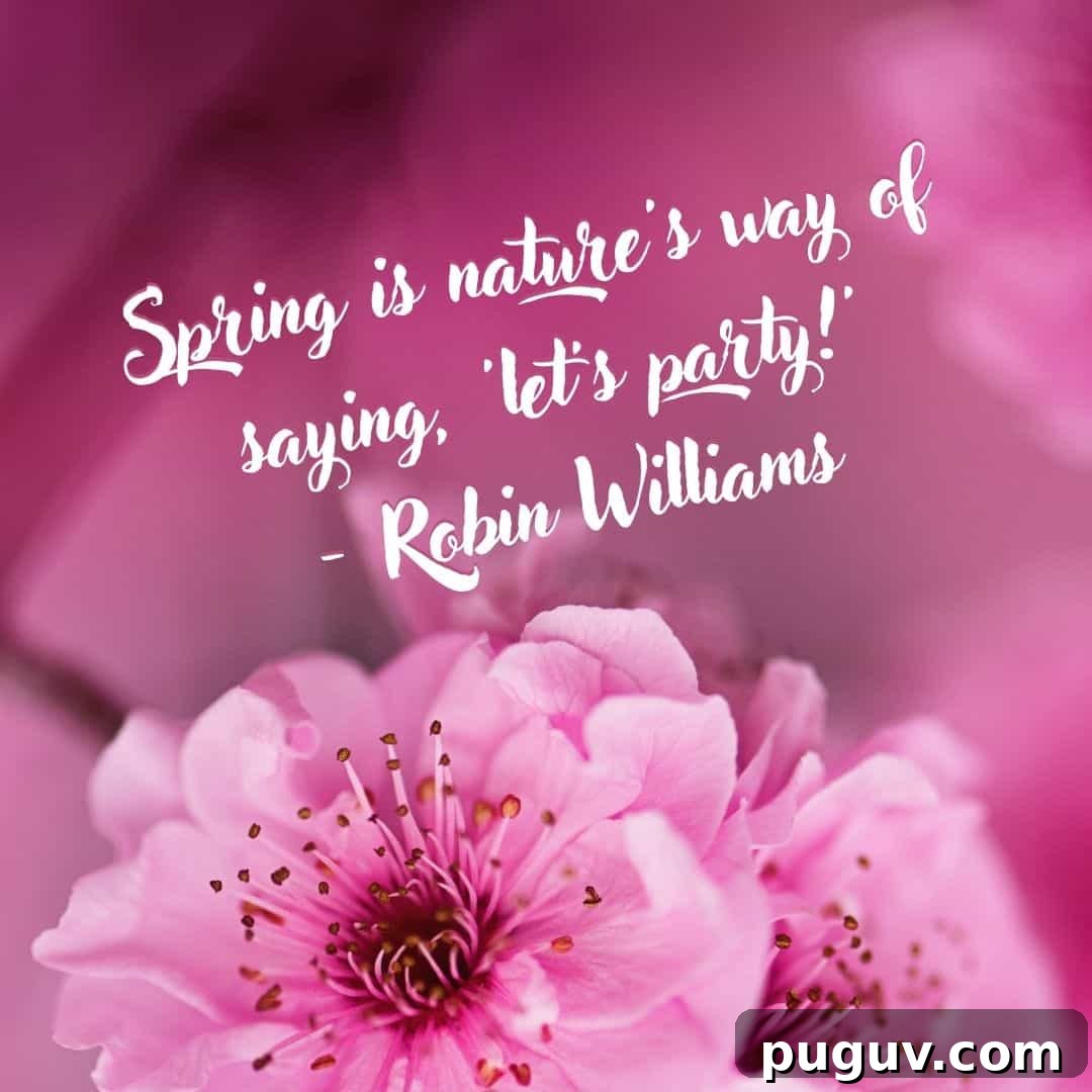 spring is natures way of saying lets party Spring Quote
