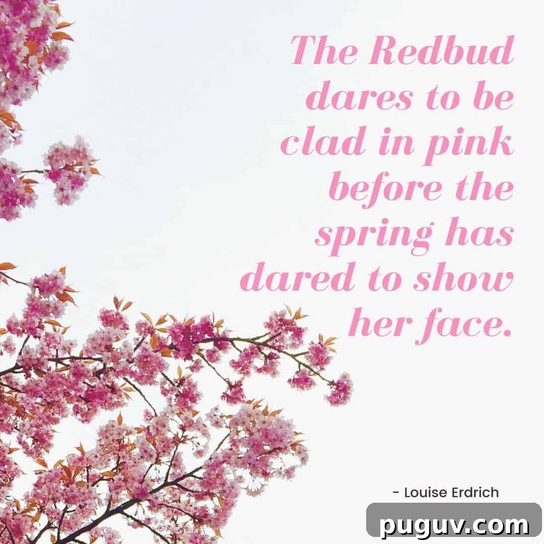Louise Erdrich quote