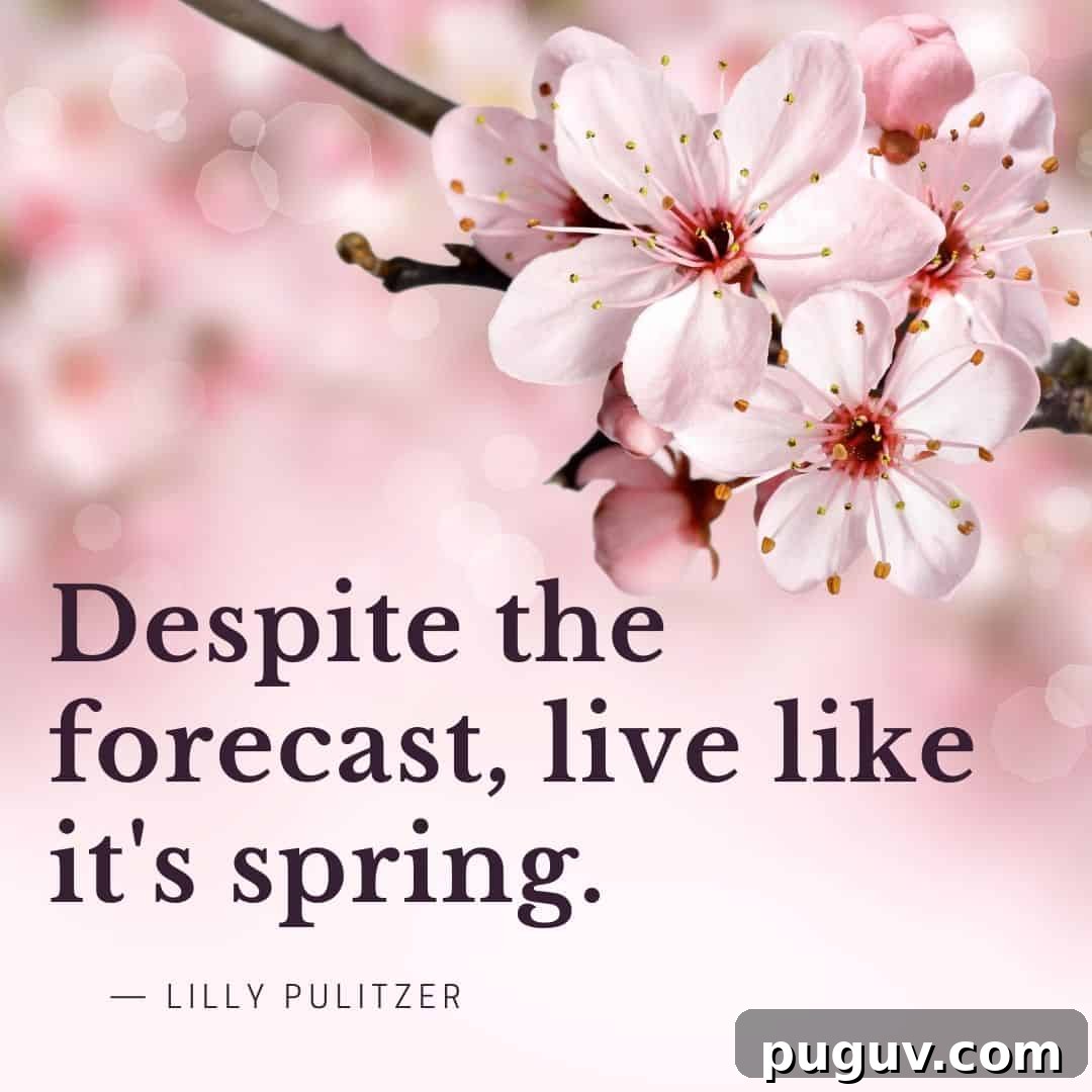 live like it is spring quote