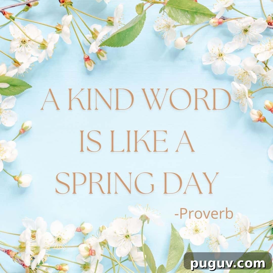 a kind work is like a spring day -Proverb