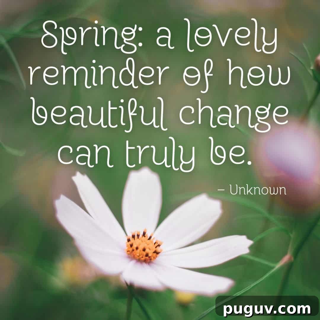 spring a lovely reminder of how beautiful change can truly be