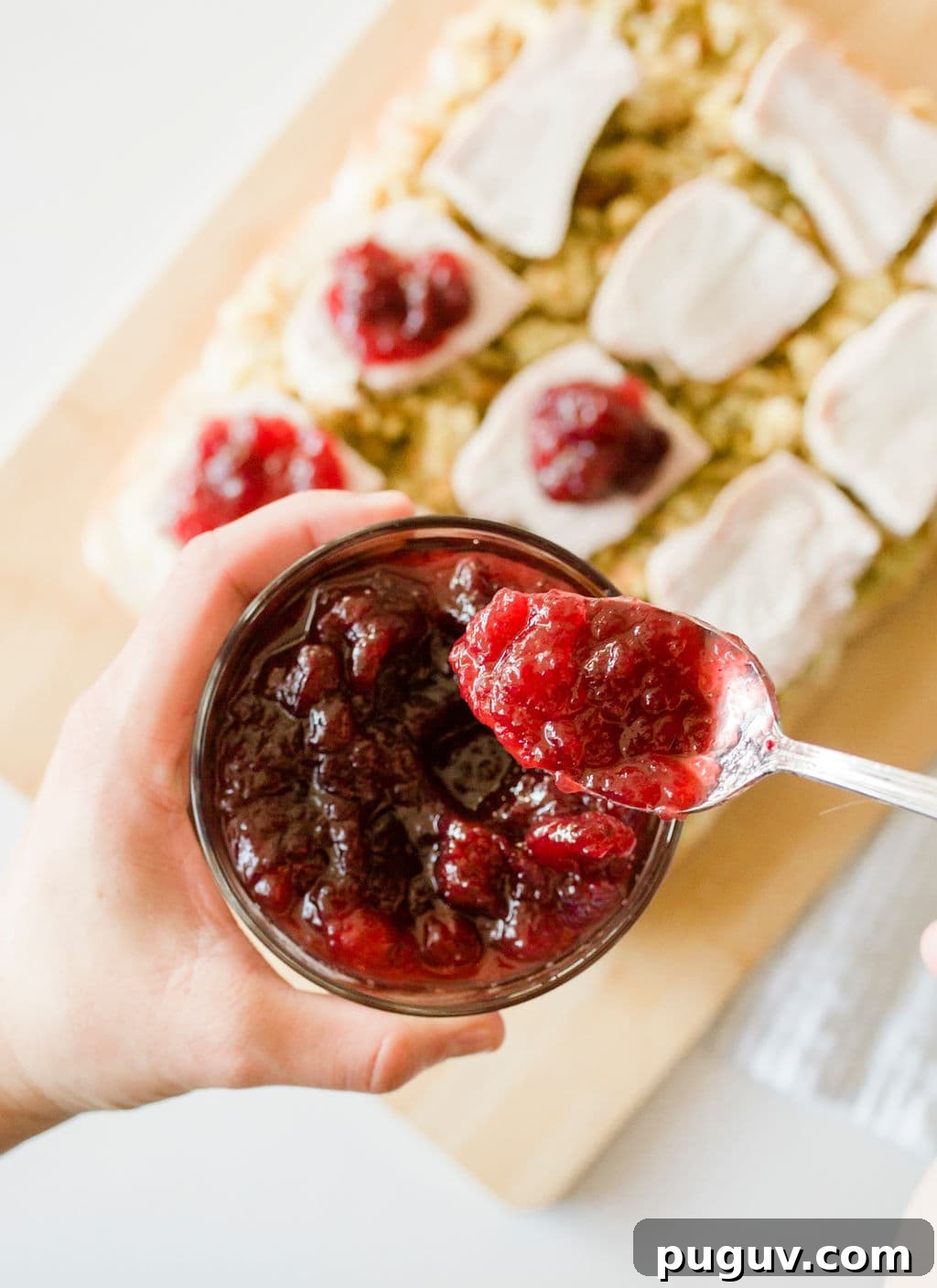 spoon of cranberry sauce
