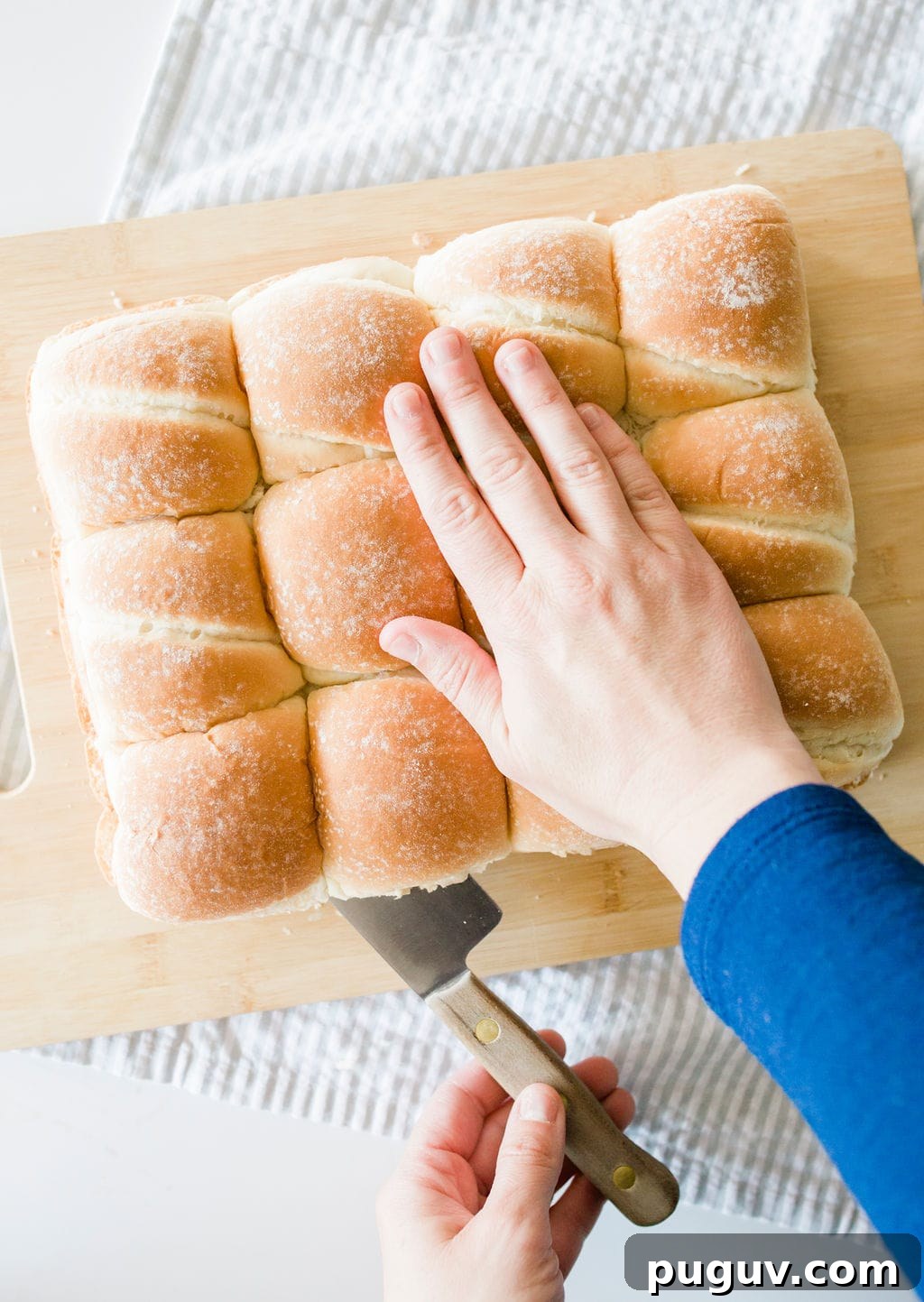 sandwich buns