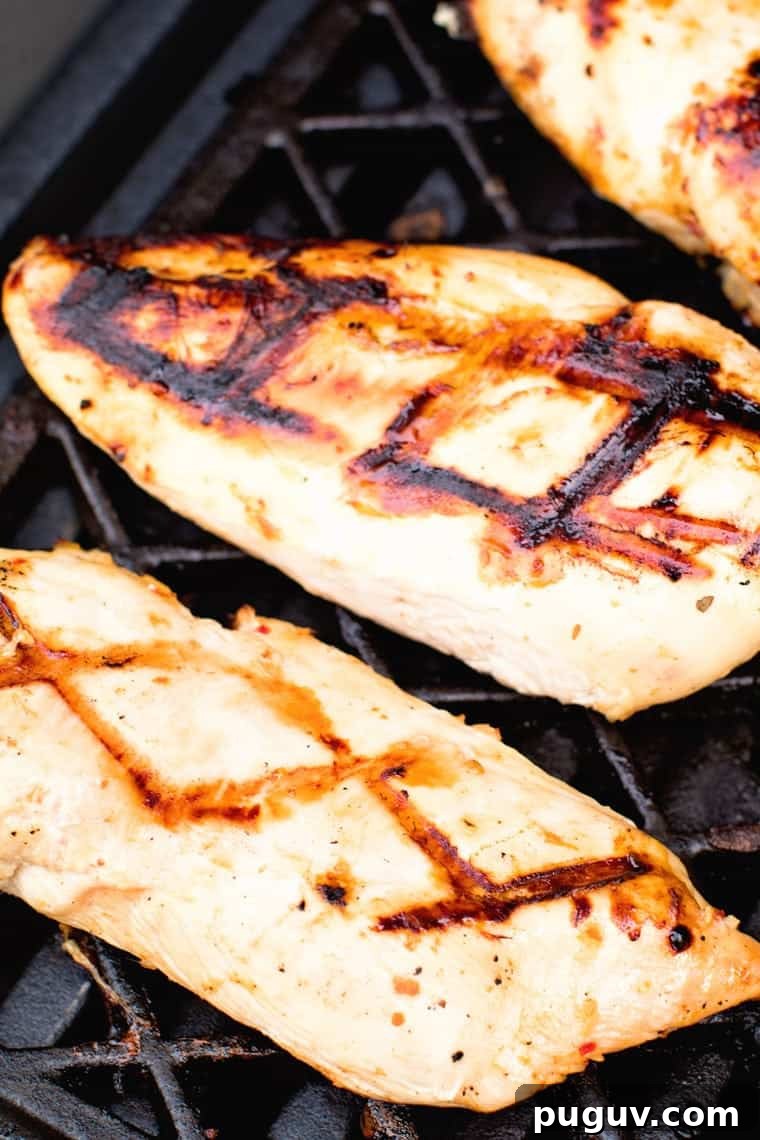Marinated Italian Grilled Chicken Breasts