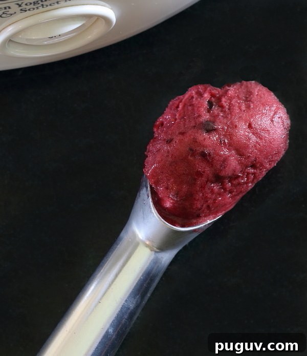 Scoop of cherry hibiscus dairy-free sorbet
