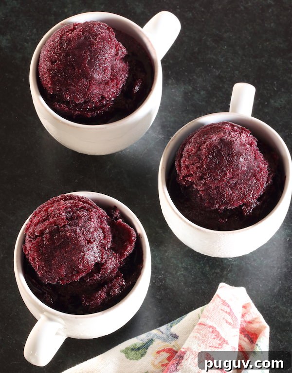 Three cups of blueberry dairy-free sorbet using the "freeze & stir" method