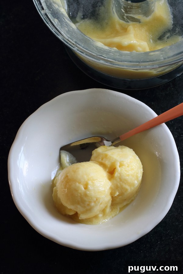 Pineapple dairy-free sorbet in a small bowl