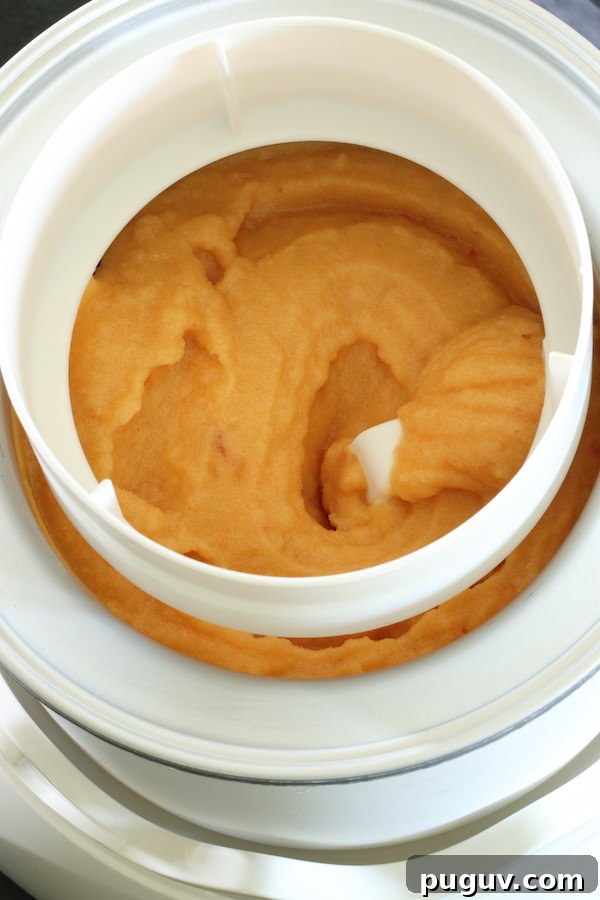 Peach dairy-free sorbet in ice cream maker