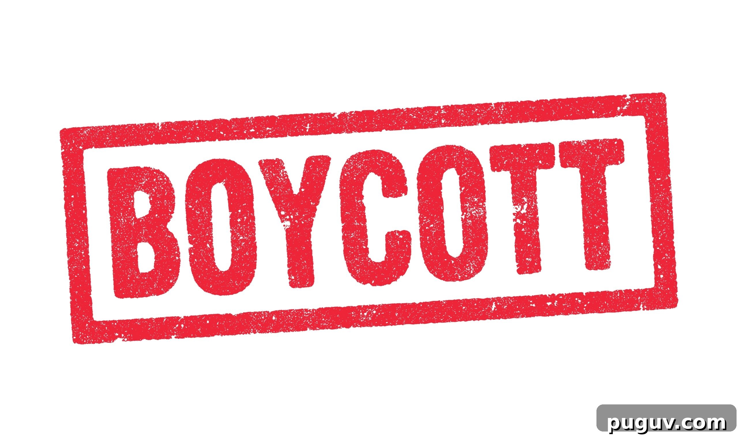7 U.S. States Set to Suffer Most from China’s $12.8B Soybean Boycott 2 Soybean field