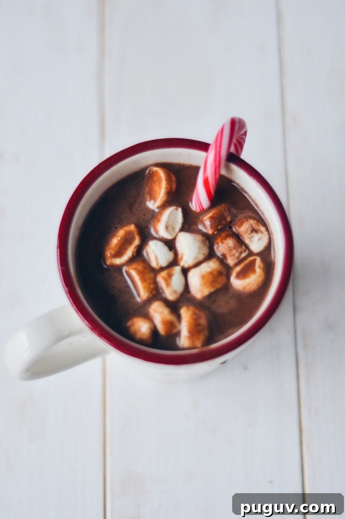 Homemade Vegan Hot Cocoa Mix Recipe for Rich, Dairy-Free Cocoa 3 DIY Vegan Hot Cocoa Mix & Personalized Mug