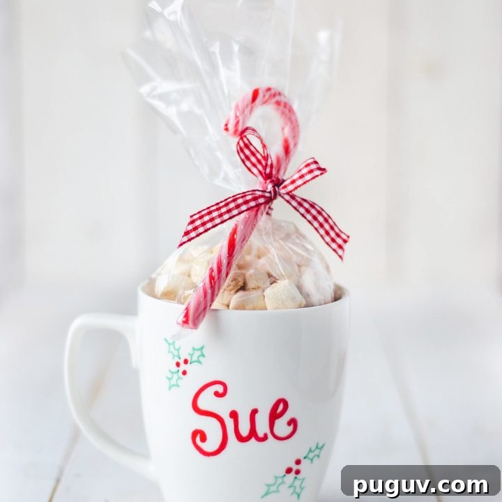 DIY Vegan Hot Cocoa Mix & Personalized Mug
