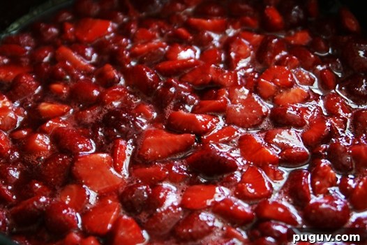 strawberrybalsamicsugar strawberrybalsamicsugar