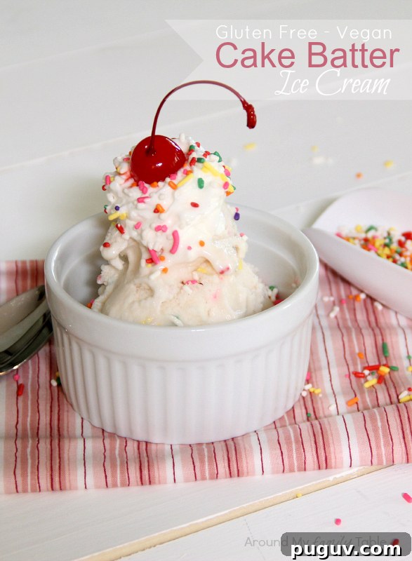Gluten Free Vegan Cake Batter Ice Cream Gluten Free Vegan Cake Batter Ice Cream