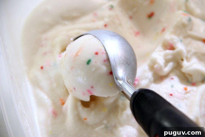 Gluten Free Vegan Cake Batter Ice Cream Gluten Free Vegan Cake Batter Ice Cream