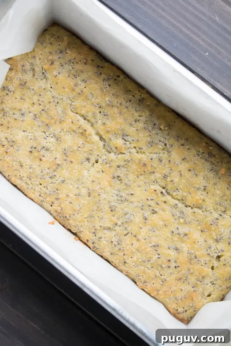 Lemon Almond Chia Seed Bread Recipe 8 Lemon Almond Chia Bread. A savory and satisfying quick bread that's low carb and protein rich. It's fluffy, nutty and delicious. Great for breakfast! Perfect addition to soup or salad!