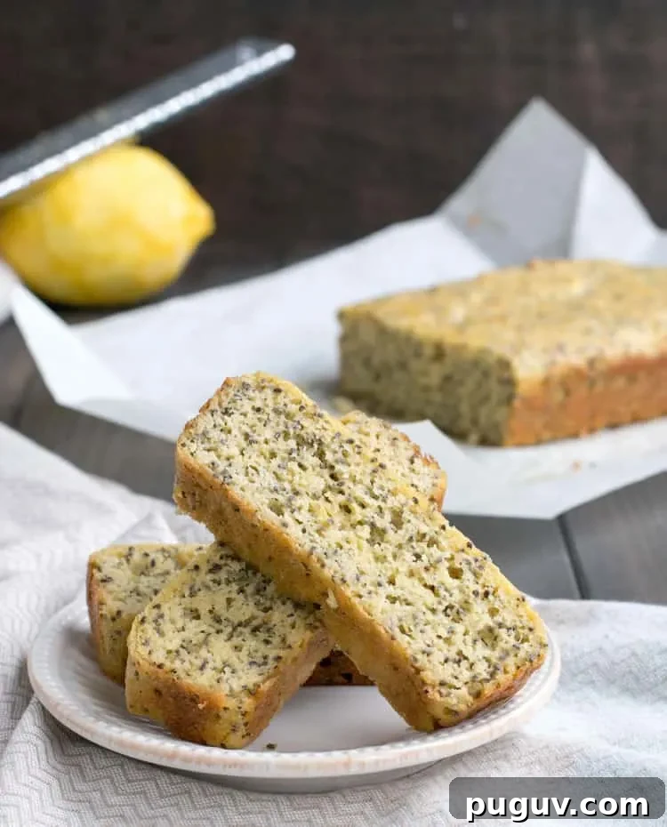 Lemon Almond Chia Seed Bread Recipe 9 Lemon Almond Chia Bread. A savory and satisfying quick bread that's low carb and protein rich. It's fluffy, nutty and delicious. Great for breakfast! Perfect addition to soup or salad!