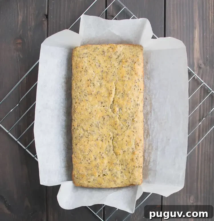 Lemon Almond Chia Seed Bread Recipe 3 Lemon Almond Chia Bread. A savory and satisfying quick bread that's low carb and protein rich. It's fluffy, nutty and delicious. Great for breakfast! Perfect addition to soup or salad!
