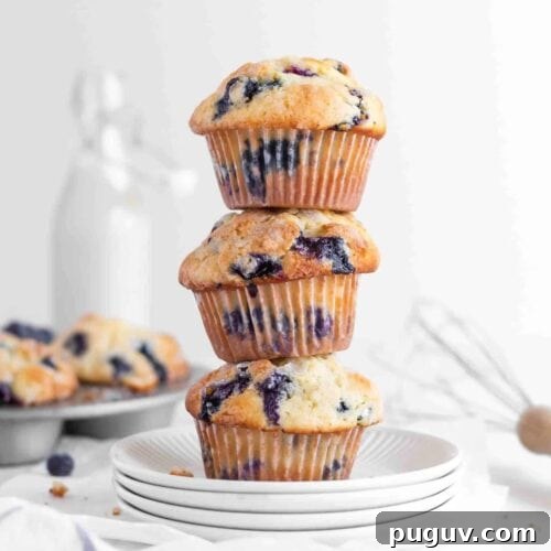A stack of three blueberry muffins on white plates.