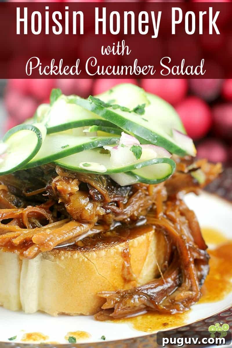 Hoisin Honey Pulled Pork with Pickled Cucumber Salad