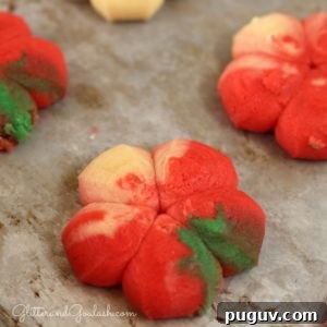 Festive Christmas Spritz Cookie Recipes for the Holidays 9 christmas-spritz