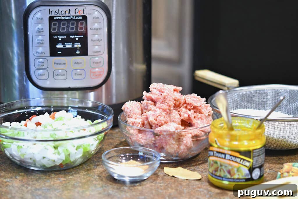 all ingredients for dirty rice displayed in front of the instant pot