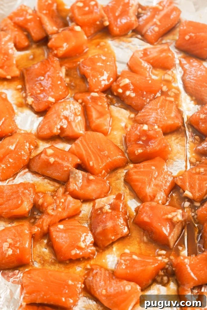 Honey Garlic Salmon Bites: Quick Glazed Salmon Appetizers 8 honey garlic salmon bites before broiling
