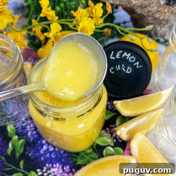 Lemon Curd with Whole Eggs: Simple Recipe and Freezing Tips 7 lemon cur in jar with ladel on top and lid