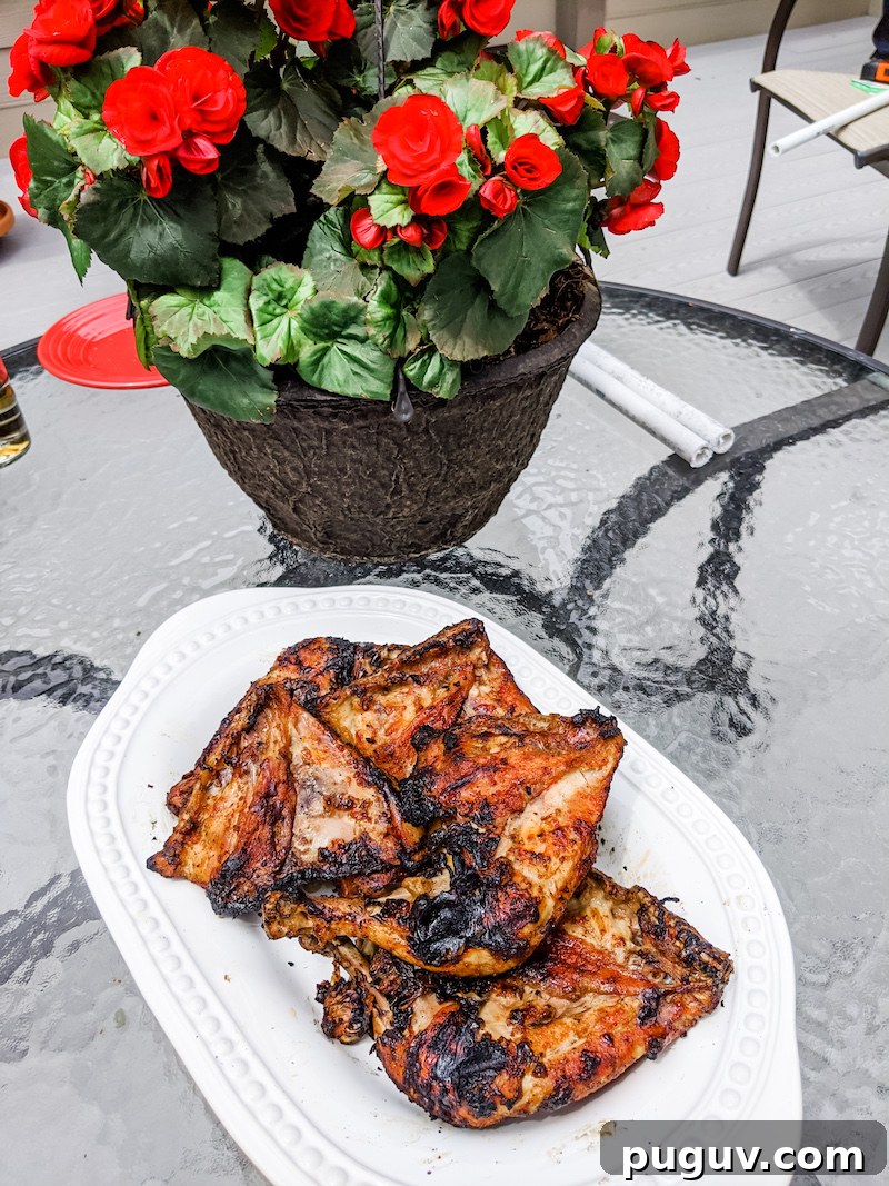 Sweet Smoky BBQ Dry Rub Recipe for Bold Grilling Flavor 2 BBQ Dry Rub