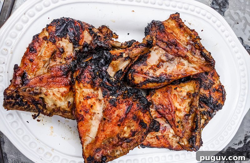Sweet Smoky BBQ Dry Rub Recipe for Bold Grilling Flavor 4 Chicken with BBQ Dry Rub