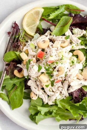 Chicken cashew salad on a bed of spring mix.