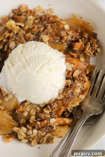 Single serving of apple crisp in a small bowl topped with a scoop of vanilla ice cream with 2 vintage forks in the bowl.