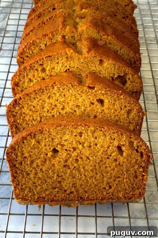 Moist Pumpkin Spice Quick Bread Recipe for Fall Baking 2 Slices of pumpkin spice bread on a cooling rack