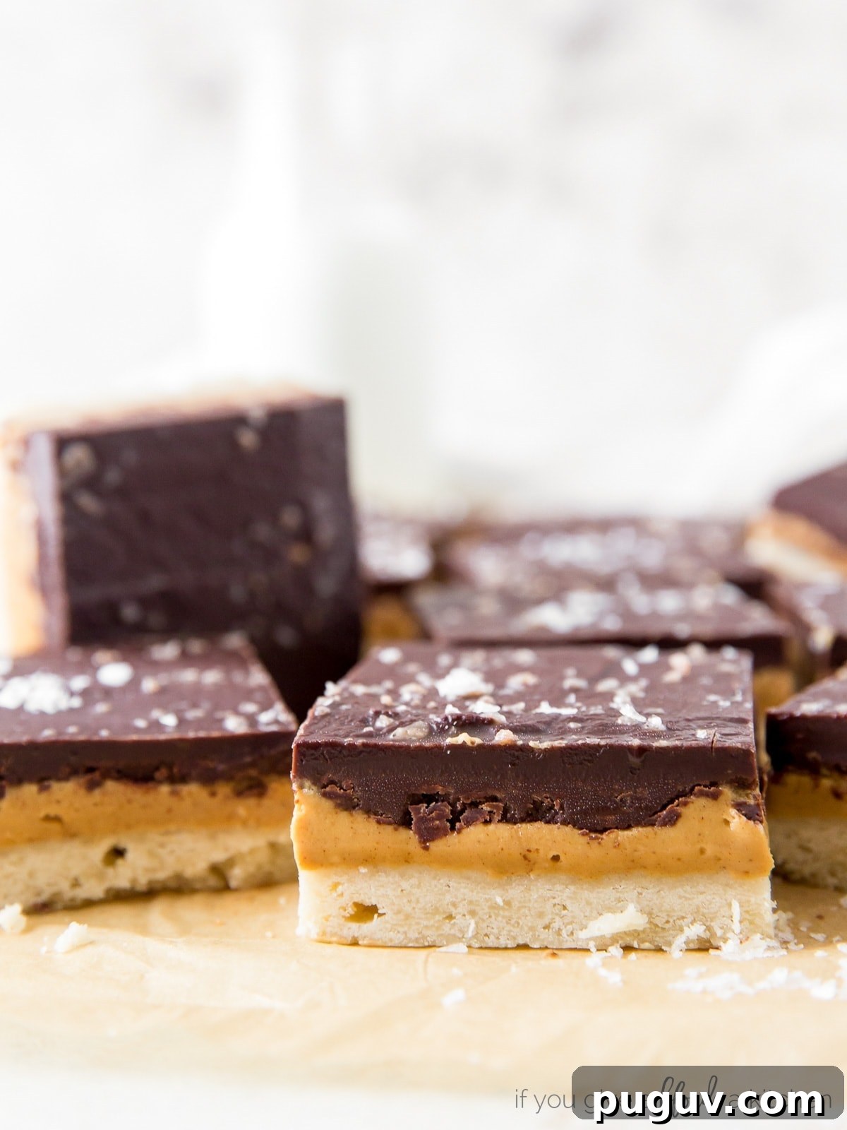 Chocolate Peanut Butter Bars with Shortbread Crust 2 side of peanut butter chocolate bar showing layers of shortbread crust, peanut butter filling and chocolate topping