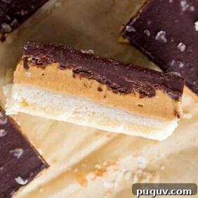 Chocolate Peanut Butter Bars with Shortbread Crust 7 peanut butter chocolate bar on its side showing layers of shortbread crust, peanut butter and chocolate