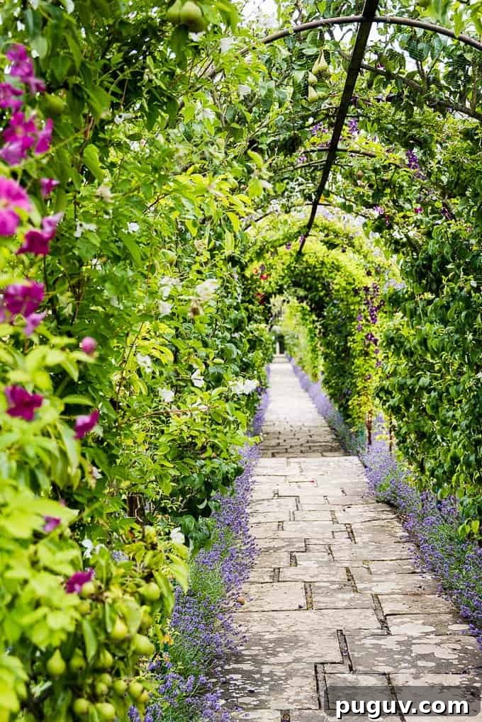 The fruit archway at Waitrose farm Leckford Estate