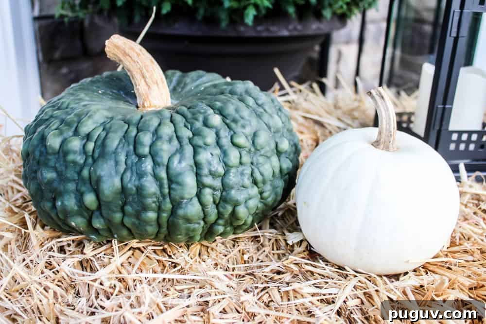 13 Stunning Ways to Add Fall Color to Your Home 7 heirloom pumpkins on a hay bale