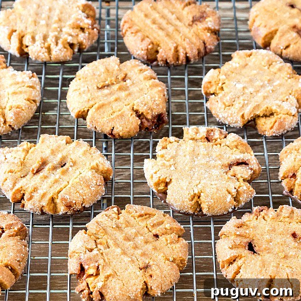 Ultimate Triple Peanut Butter Cookies Recipe You’ll Love 3 Overhead view of sugar-coated peanut butter cookies with familiar cross hatch design, on a cooling rack.