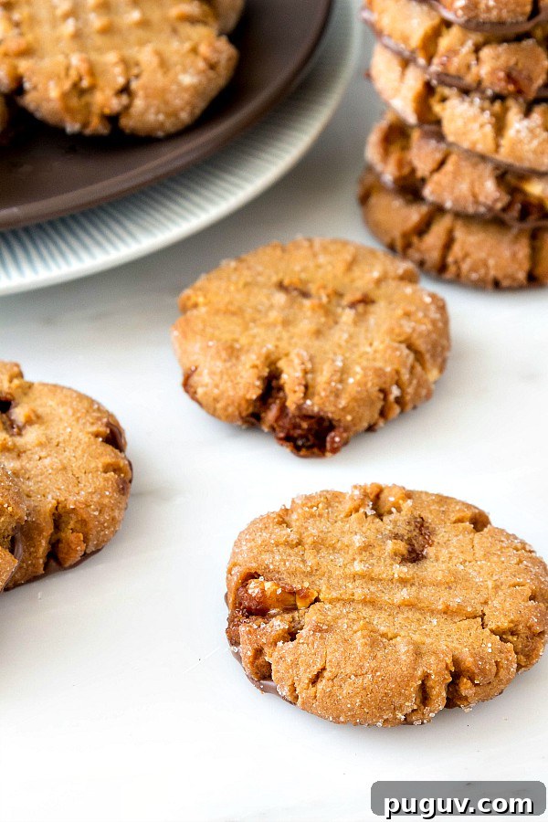 Ultimate Triple Peanut Butter Cookies Recipe You’ll Love 4 Close up of triple peanut butter cookies with hints of chocolate spread on the bottoms.