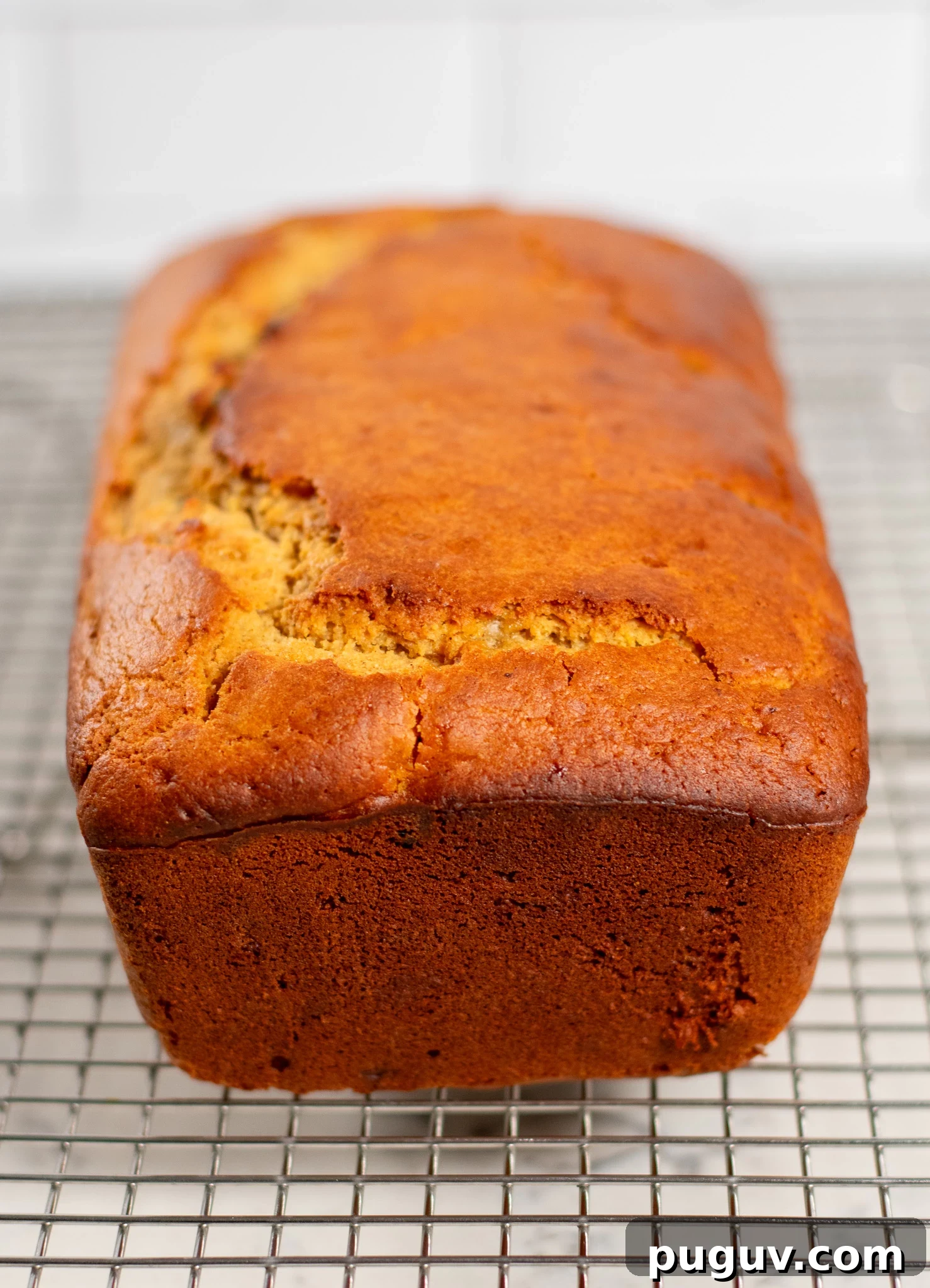 A christmas loaf cake with raisins and orange peel.