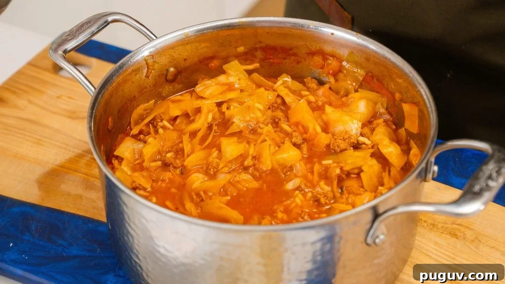 Silver pot filled with rich tomato sauce, simmered cabbage, and ground beef.