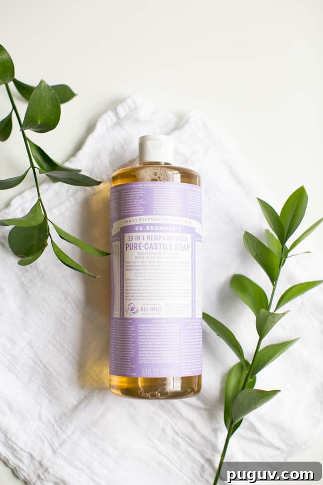 6 Effective Ways to Eliminate Pests from Houseplants 4 Castile Soap for Plant Pests