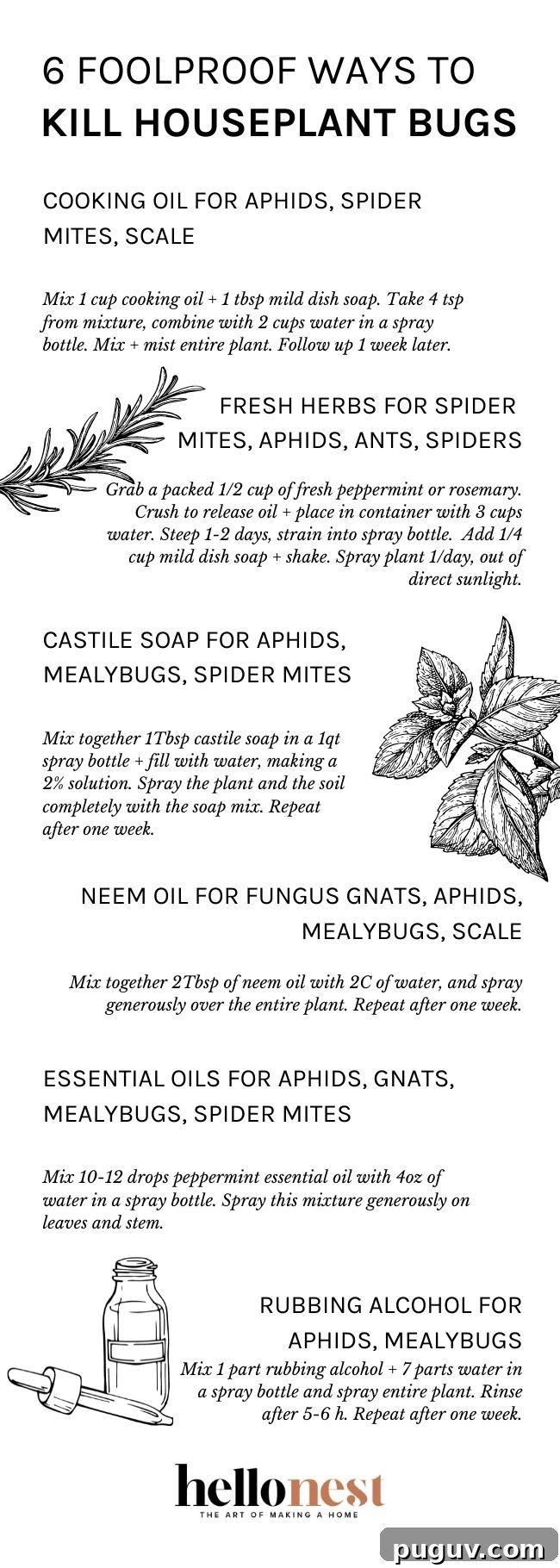 6 Effective Ways to Eliminate Pests from Houseplants 6 6 Foolproof Ways to Kill Houseplant Bugs