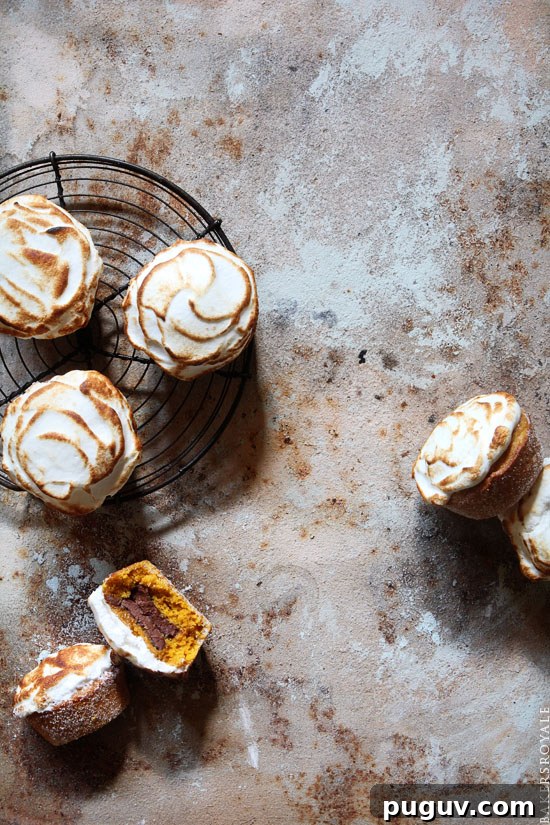 Pumpkin S'mores Doughnut Muffins: Gooey Chocolate & Marshmallow Treat 4 Pumpking Smore Dougnut Muffin from Bakers Royale