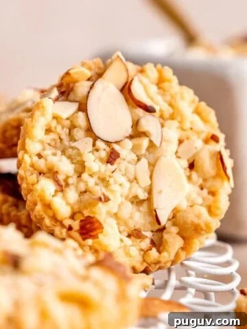 A shortbread cookie with almond filling and sliced almonds on top.