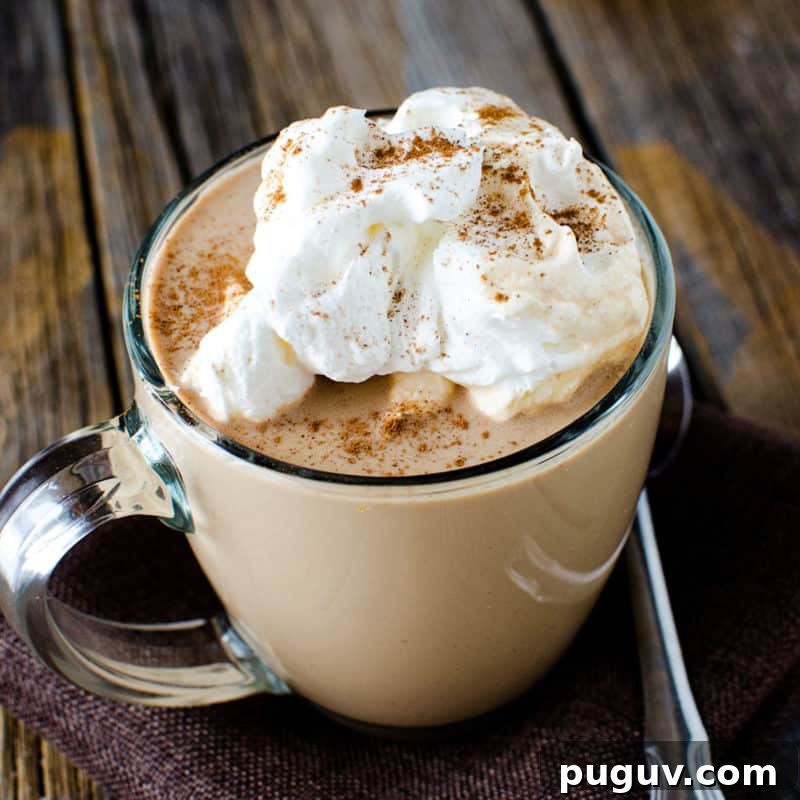 Christmas Cocktail Recipes Everyone Will Love 18 Crock Pot Mexican Hot Chocolate in a glass mug
