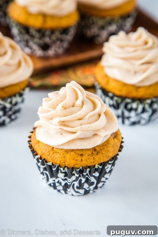 Pumpkin Spice Cupcakes are perfect for fall. Topped with a cinnamon flavored cream cheese frosting